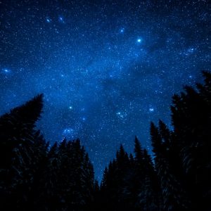 Voyage To HEAL Meditation (Downloads)